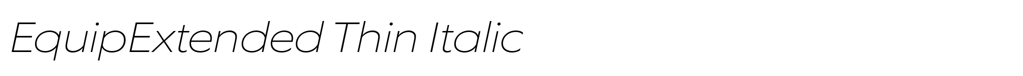 EquipExtended Thin Italic image